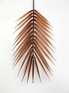 Liść palmy 61 cm brązowy