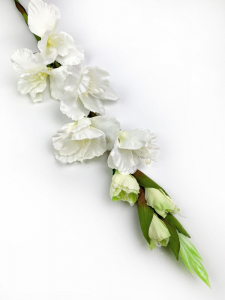 Mieczyk kwiat pojedynczy 85 cm biały