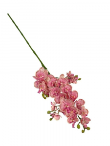 Storczyk gałązka 73 cm jasno różowy
