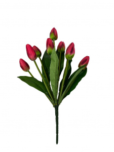 Bukiet 9 tulipanów 37 cm czerwony