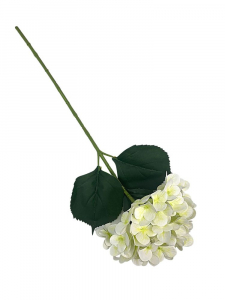 Hortensja kwiat pojedynczy 68 cm kremowa