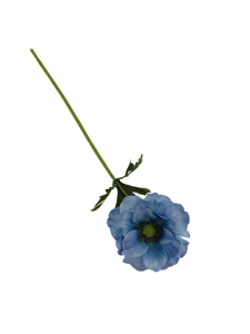 Anemon kwiat pojedynczy 36 cm niebieski