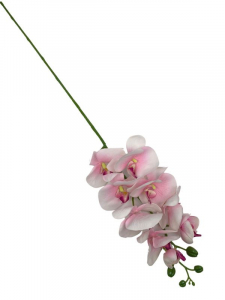 Storczyk kwiat pojedynczy 100 cm kremowo różowy