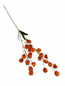 Miechunka gałązka 97 cm pomarańczowa