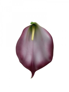 Kalia kwiat wyrobowy 18 cm kremowo fiołkowa