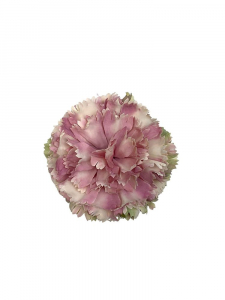 Goździk główka 12 cm brudny róż z zielenią