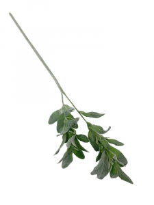 Szałwia gałązka 72 cm zielony