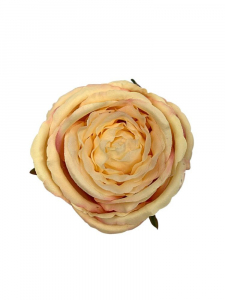 Róża kwiat wyrobowy 11 cm brzoskwiniowa