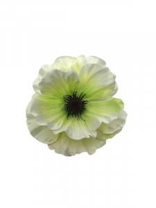 Mak kwiat wyrobowy 10 cm kremowo zielony