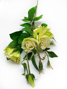 Róża kwiat pojedynczy 77 cm zielona z różem