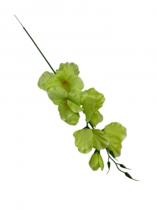 Mieczyk gałązka 53 cm jasno zielony