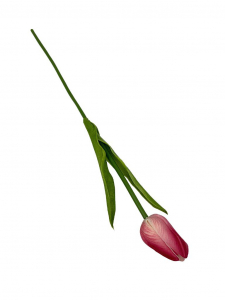 Tulipan z pianki 45 cm ciemny róż
