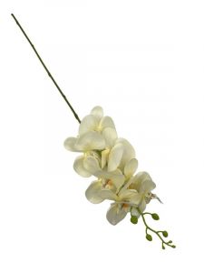 Storczyk kwiat pojedynczy 85 cm kremowy