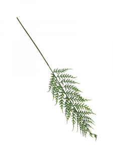 Paproć liść 63 cm zielona omszona
