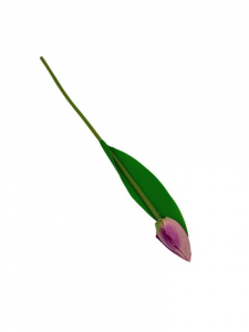 Tulipan gałązka 35 cm jasny róż z fioletem