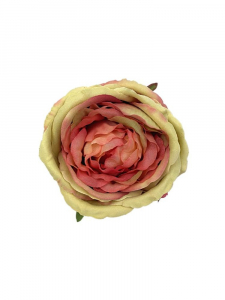 Róża główka 11 cm różowa z dodatkiem bardzo jasnej zieleni