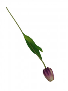 Tulipan kwiat pojedynczy 42 cm fioletowy