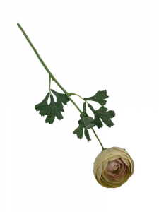 Pełnik kwiat pojedynczy 51 cm brudny zielony