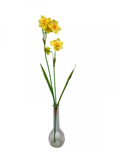 Narcyz kwiat pojedynczy 60 cm pudrowy żółty