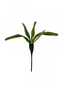 Liść do storczyka 23 cm zielony