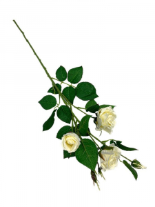 Róża gałązka 77 cm kremowa
