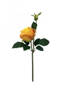 Róża kwiat pojedynczy 36 cm herbaciana