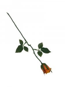 Róża gałązka 35 cm pomarańczowa