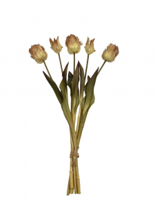 Wiązka tulipanów silikonowych 47 cm karmelowych