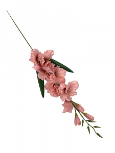 Mieczyk kwiat pojedynczy 80 cm różowy