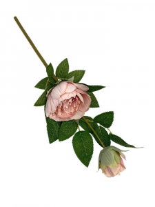Piwonia gałązka 47 cm jasny róż