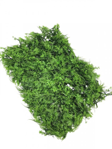 Mata plastikowa 60 cm x 40 cm zielona