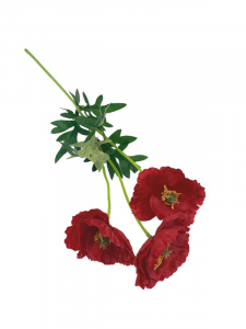 Mak kwiat pojedynczy 55 cm czerwony