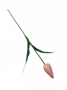 Tulipan kwiat pojedynczy 55 cm różowy