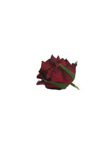 Róża główka 6 cm głęboka czerwień
