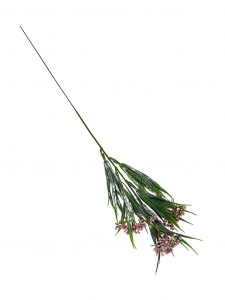 Dodatek Chlorofitum gałązka 44 cm jasny róż