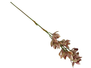 Storczyk cymbidium kwiat pojedynczy 82 cm różowy