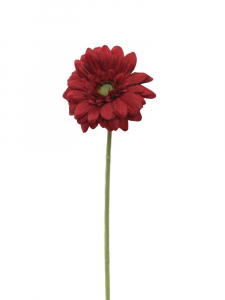 Gerbera kwiat pojedynczy 46 cm bordowa