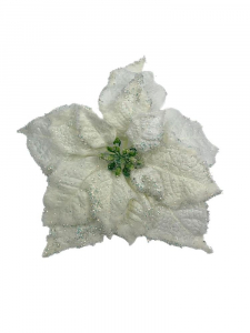Gwiazda betlejemska główka 22 cm biała ośnieżona z brokatem