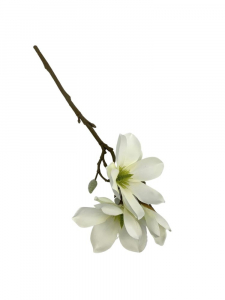 Magnolia kwiat pojedynczy 40 cm kremowa z jasną zielenią