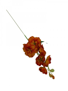 Ostróżka kwiat pojedynczy 44 cm herbaciana