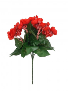 Begonia bukiet 31 cm czerwona
