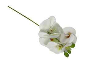 Storczyk kwiat pojedynczy 37 cm biały z zielonym środkiem