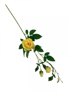 Róża gałązka 70 cm żółta