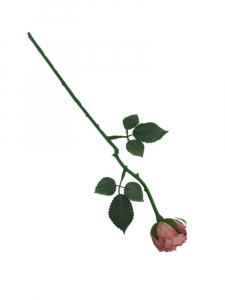 Róża gałązka 35 cm pudrowy róż