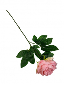 Piwonia gałązka 66 cm jasny róż
