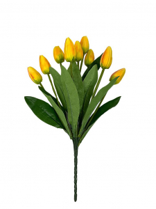 Bukiet 9 tulipanów 37 cm żółty