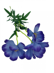 Kosmos kwiat pojedynczy 52 cm niebieski