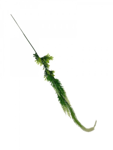 Wrzos gałązka 60 cm biało zielony