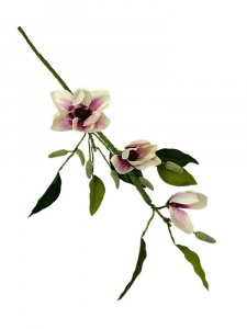 Magnolia duża gałąź 79 cm kremowo różowa