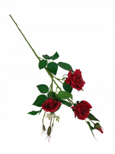 Róża gałązka 77 cm czerwona malinowa